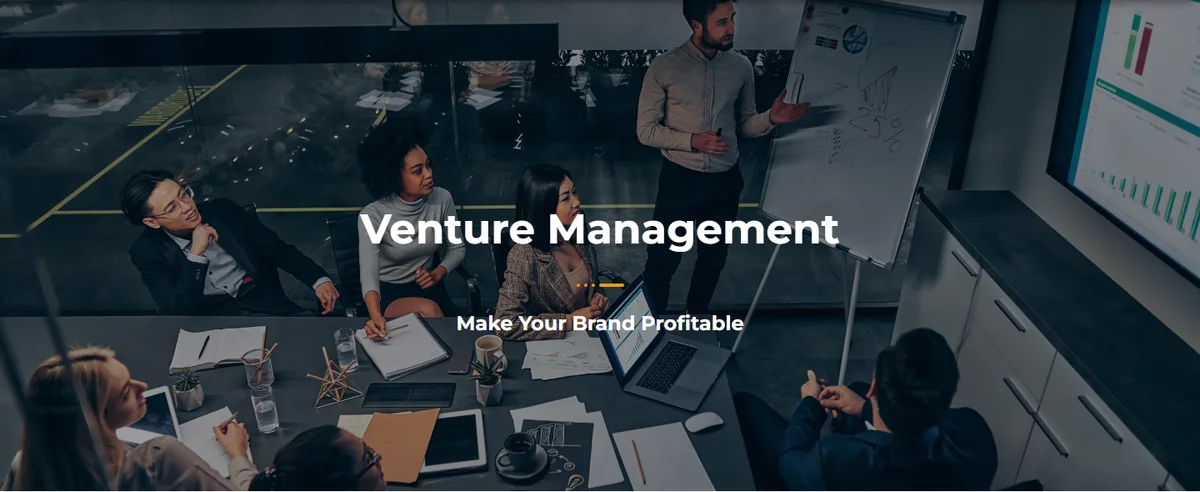 The Ventures page banner