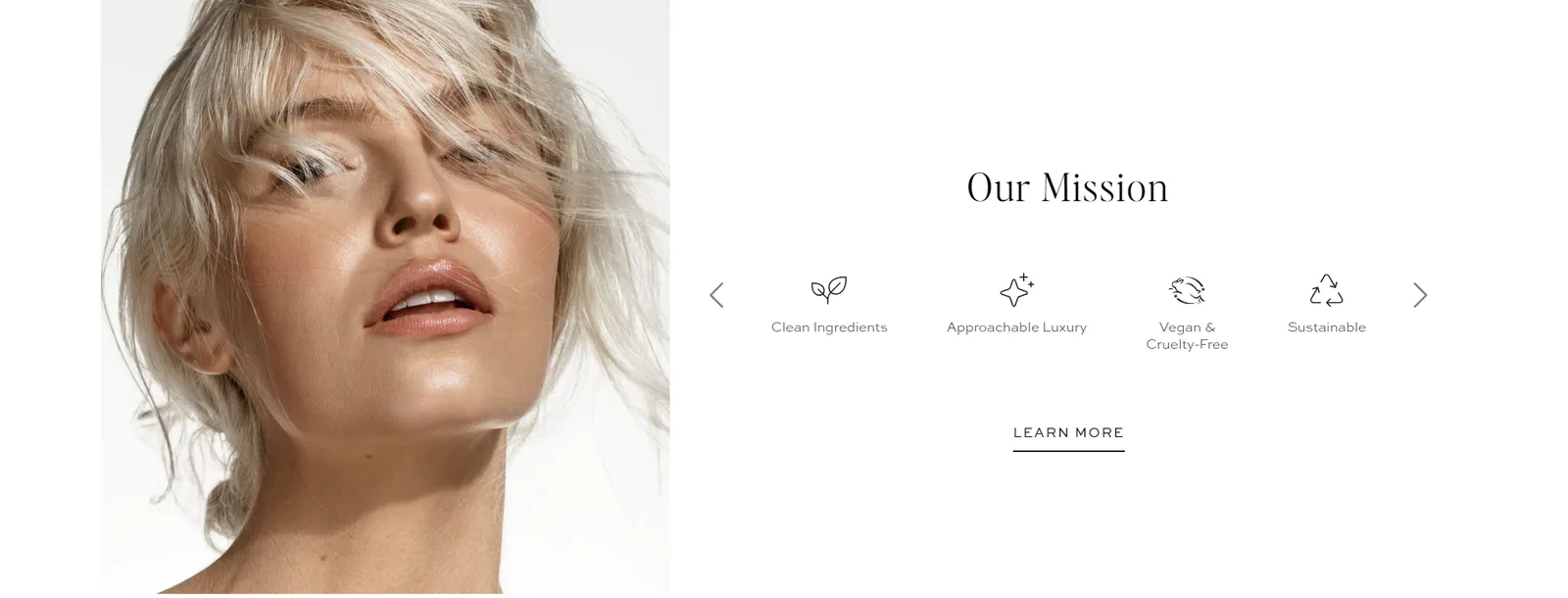The Our Mission section with 4 brand values