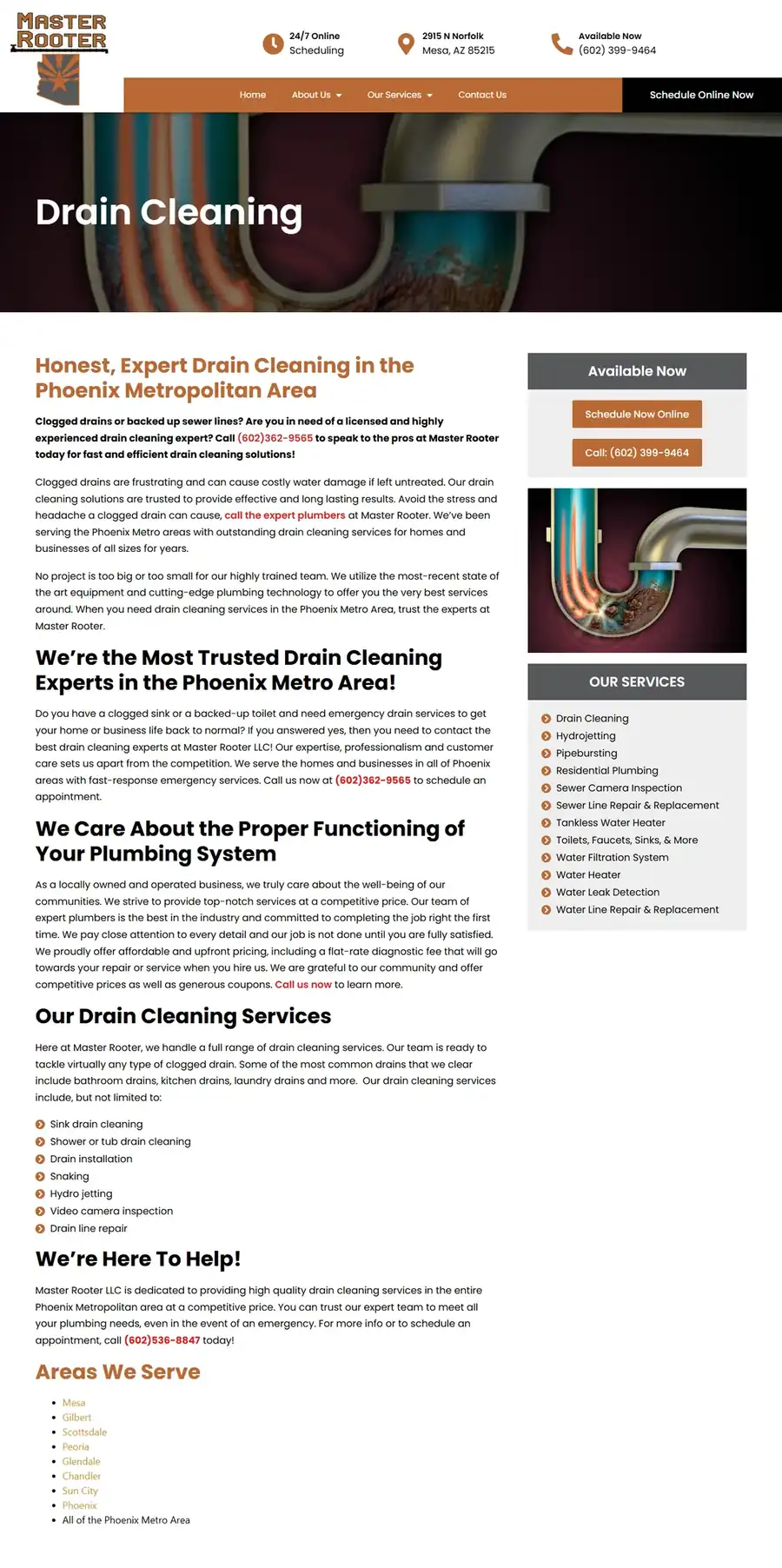 The Drain Cleaning service page