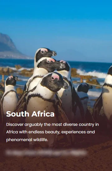 The South Africa destination card