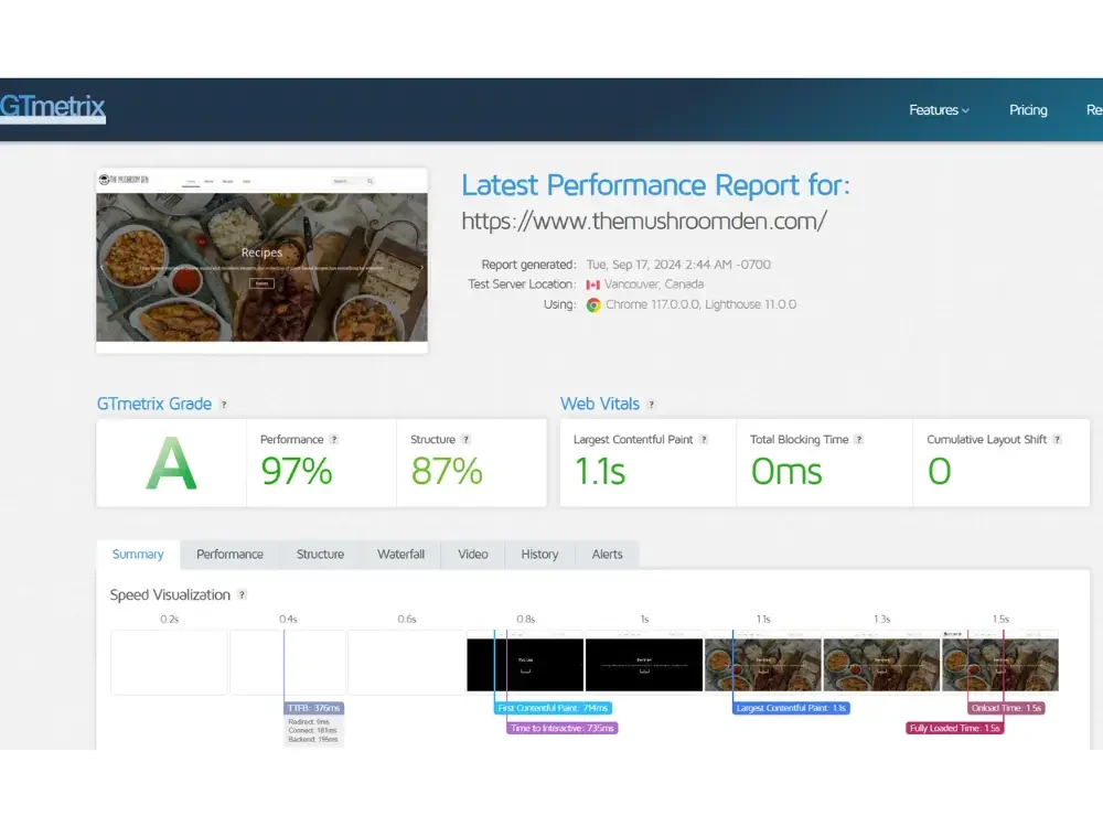 GTmetrix report showing Grade A and 97% performance